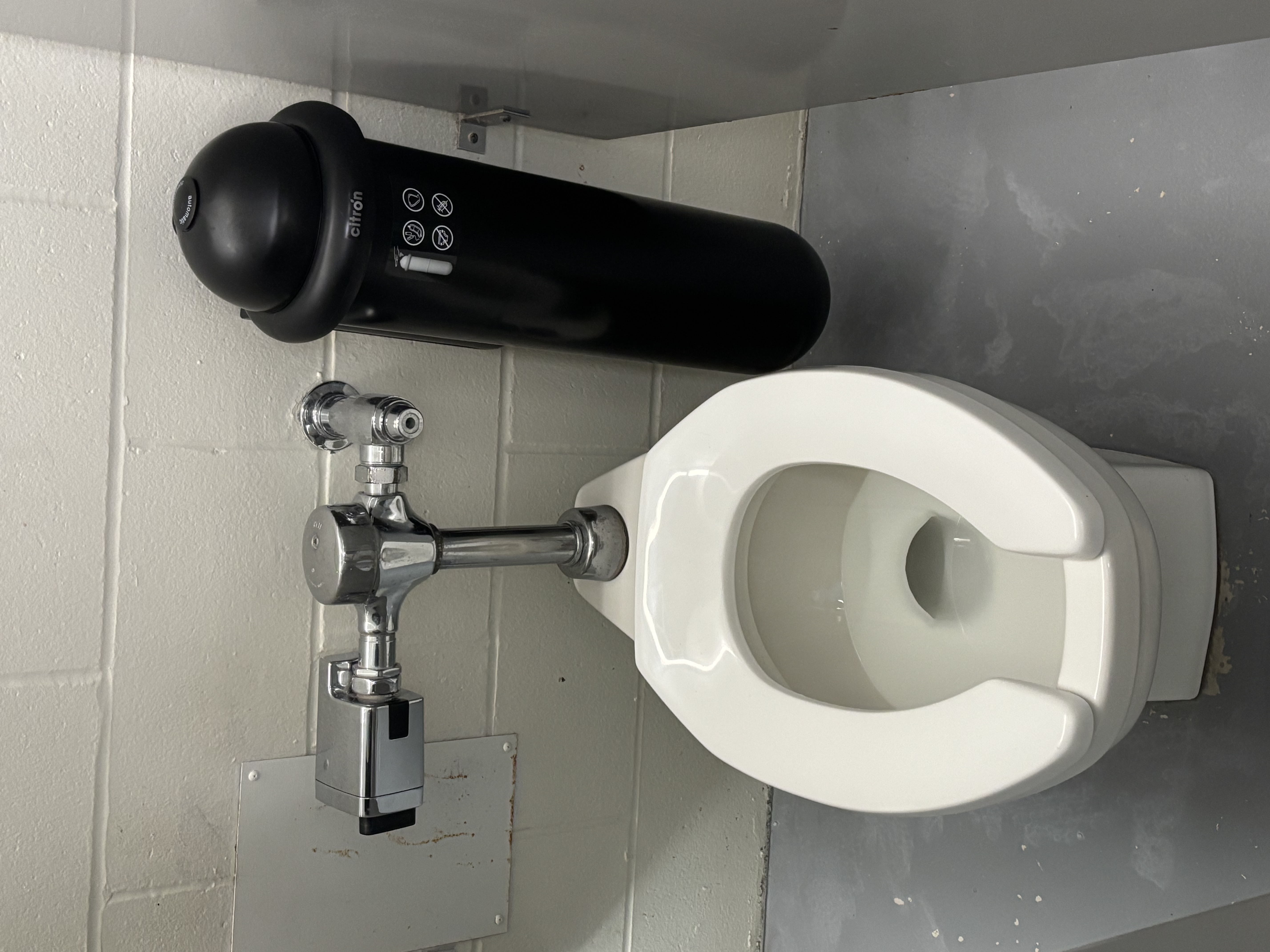 The sound of flushing the toilet