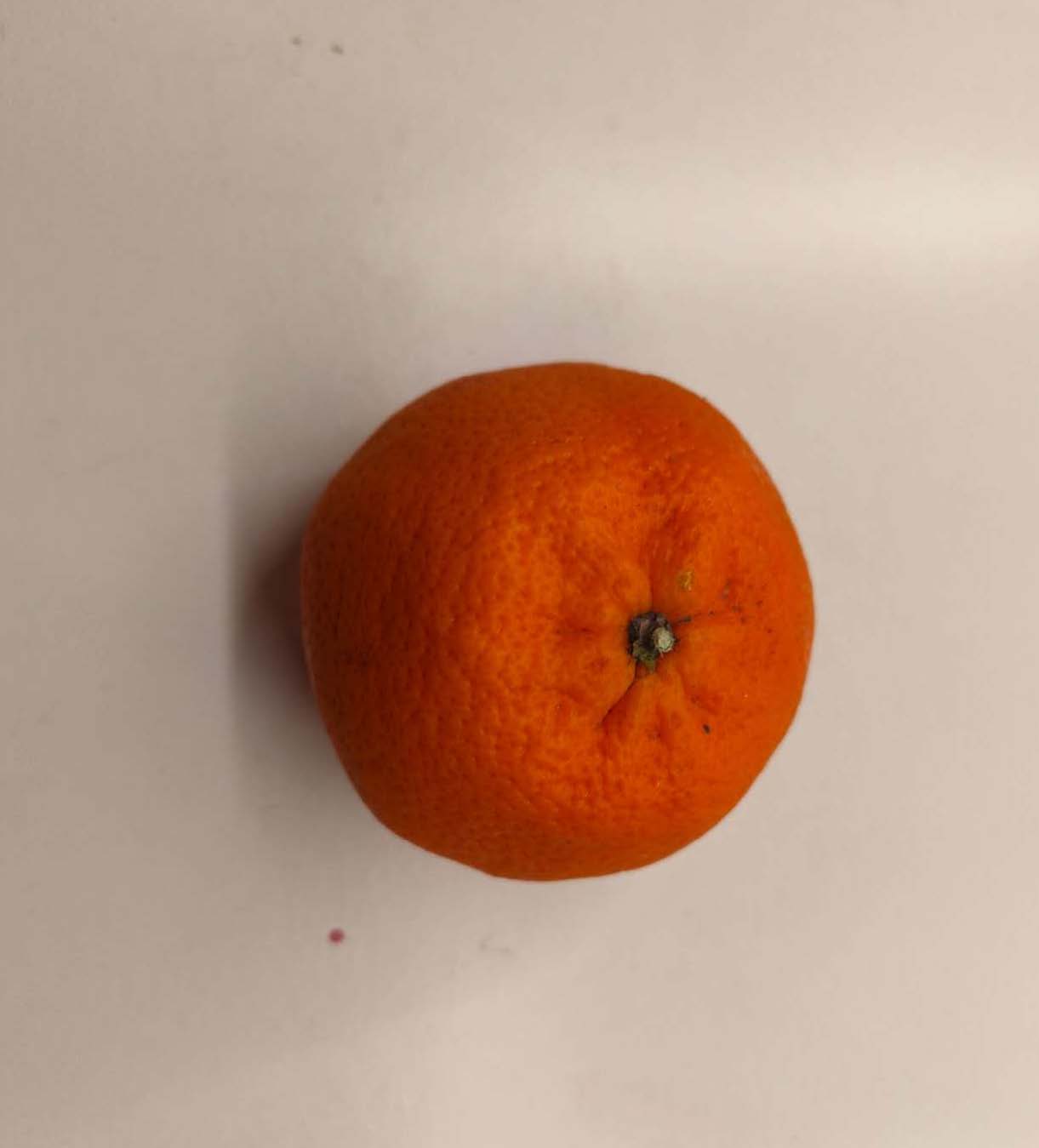 This is a high angle shot image of an orange